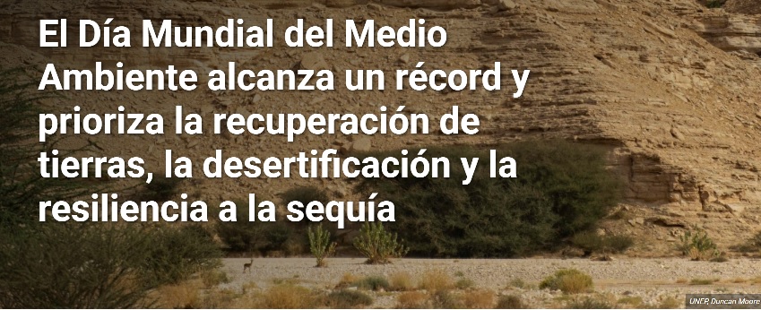 DIA MEDIO AMBIENTE 2024